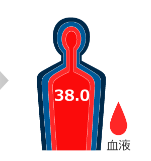20分：深部体温 38.0℃