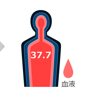 30分：深部体温 38.3℃