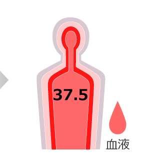 10分：深部体温 37.5℃