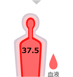 10分：深部体温 37.5℃