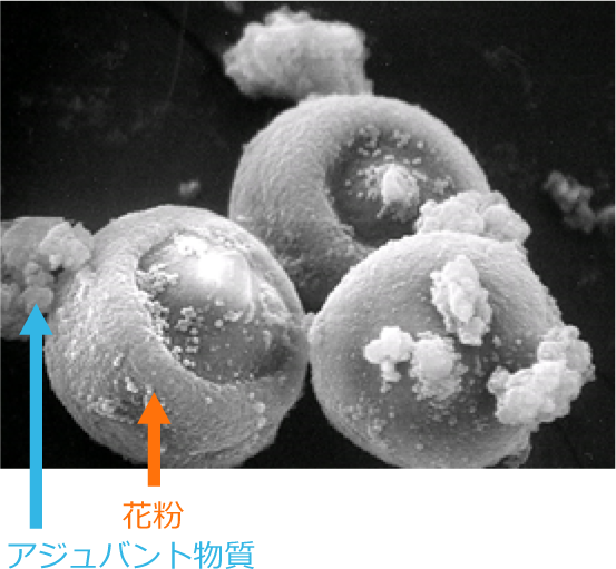 花粉の困りごとと解決法 空気の困りごとラボ ダイキン工業株式会社