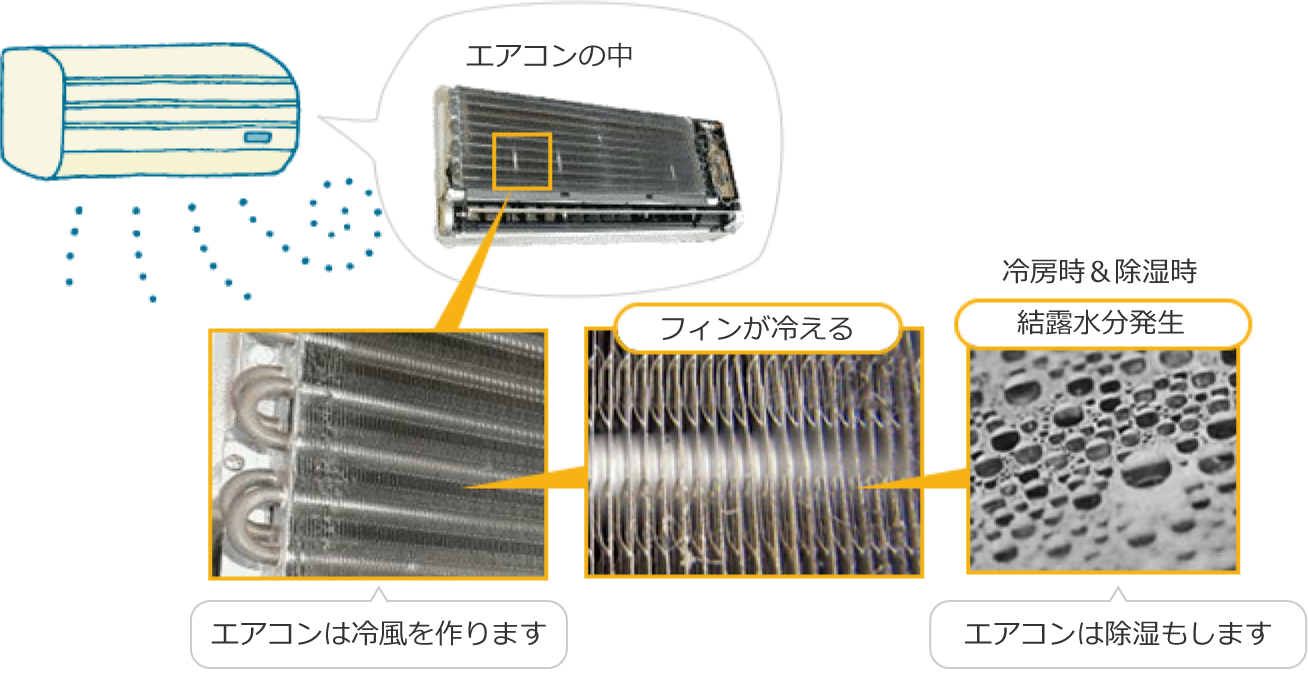 梅雨の困りごとと解決法 空気の困りごとラボ ダイキン工業株式会社