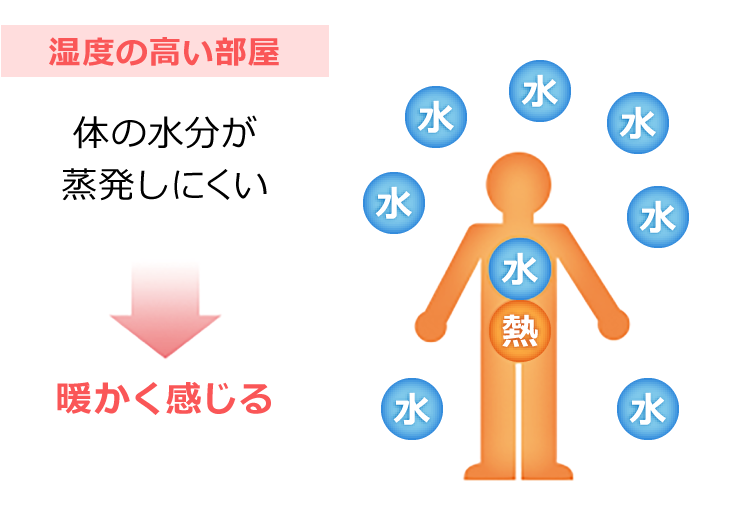 湿度の高い部屋 体の水分が蒸発しにくい 暖かく感じる