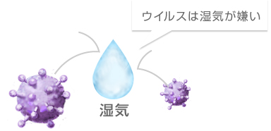 ウイルスは湿気が嫌い