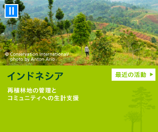 インドネシア【グヌングデ国立公園】再植林地の管理とコミュニティへの生計支援 