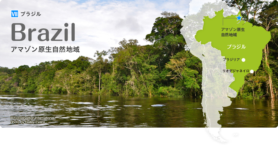ブラジル：アマゾン原生自然地域