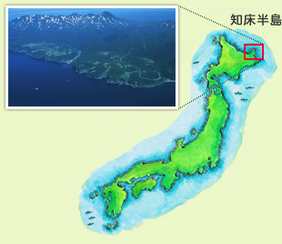 知床半島