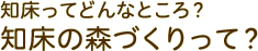 知床の森づくりって？