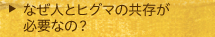 なぜ人とヒグマの共存が必要なの？