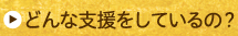 どんな支援をしているの？