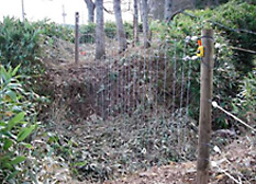 電気柵を設置した昆布浜ではヒグマが出没しませんでした