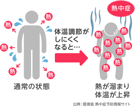 イラスト：通常の体温の熱は外気に逃げていく→体温調節がしにくくなると…→熱が溜まり体温が上昇→熱中症（出典：環境省 熱中症予防情報サイト）