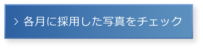 各月に採用した写真をチェック