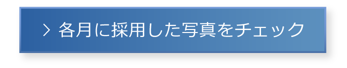 各月に採用した写真をチェック
