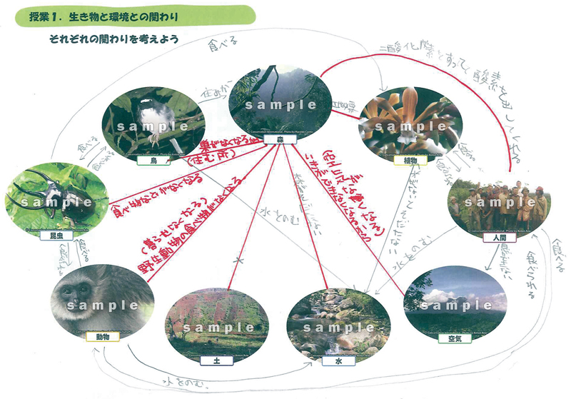 授業1 生き物と環境との関わり