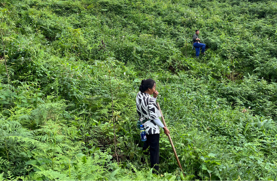 活動中の人々の画像