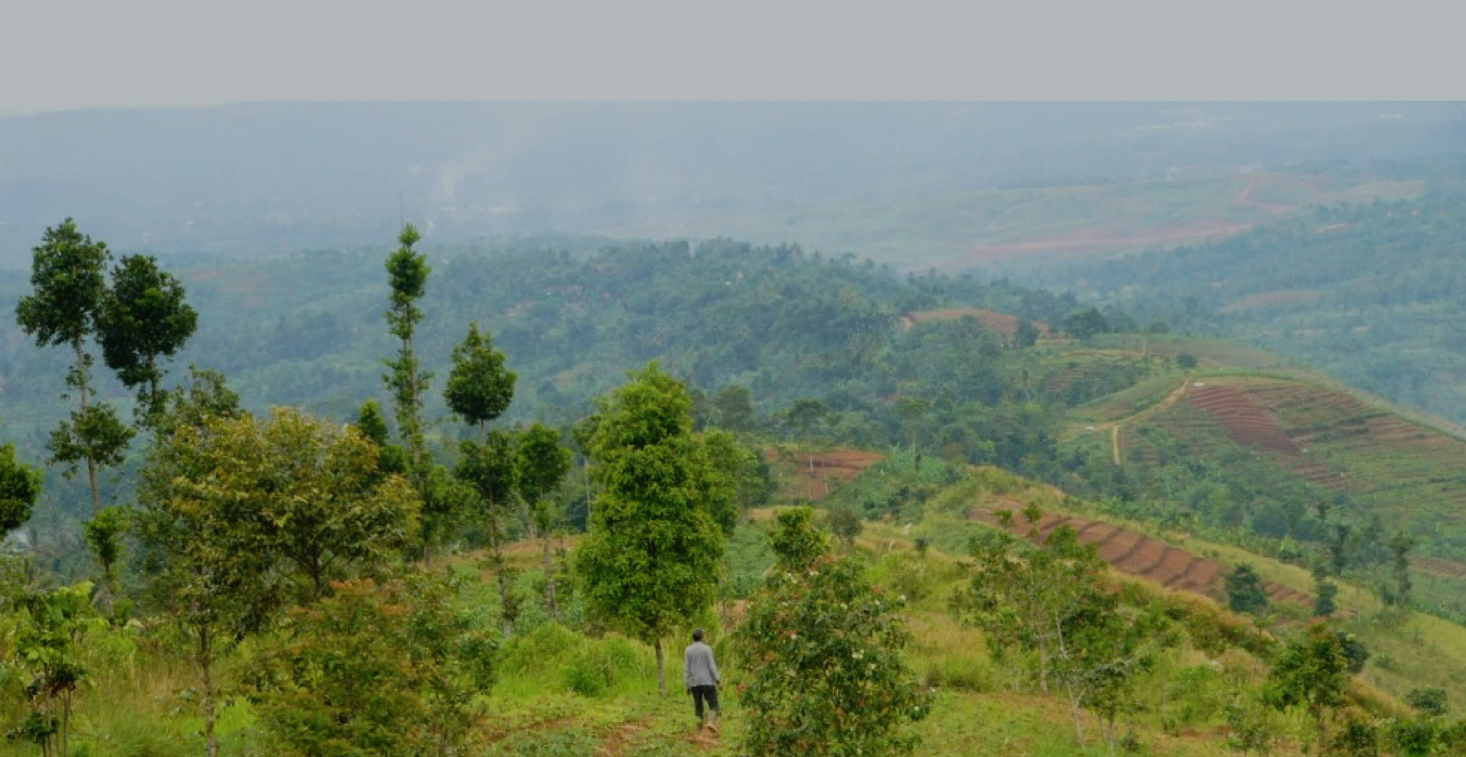 インドネシア／ジャワ島