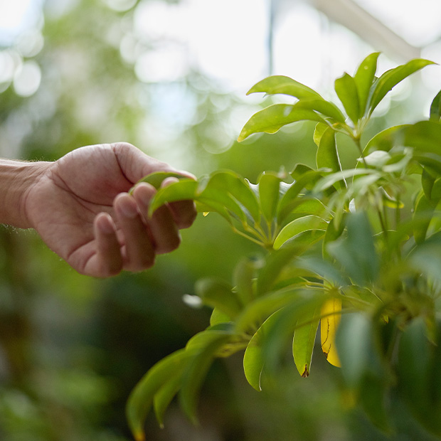 世界を旅してわかった植物と空気のこと