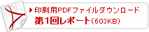 印刷用PDFファイルダウンロード 『第1回レポート(603KB)』