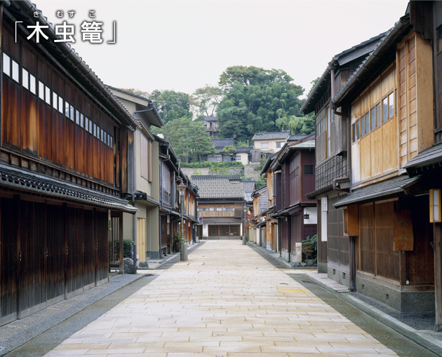 「木虫篭」