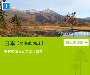 日本【北海道 知床】森林・河川の復元事業と、ヒトとヒグマの共存