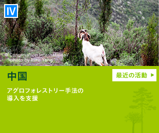 中国【南西部山岳地帯】アグロフォレストリー手法の導入を支援