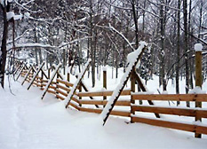 最も積雪が深くなる2月下旬の防鹿柵