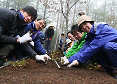 ダイキンの従業員ボランティアが、森に生えているカツラの苗を掘り起こし、苗畑に移植しました