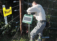 電気柵を新たに約2.1キロメートル延長しました