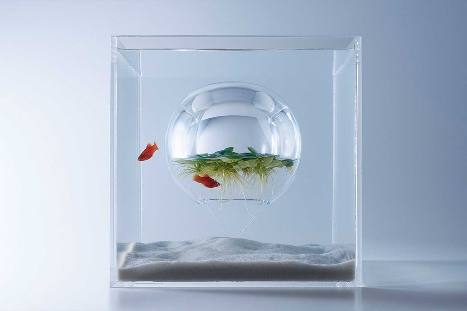 作品名:waterscape 写真:林 雅之