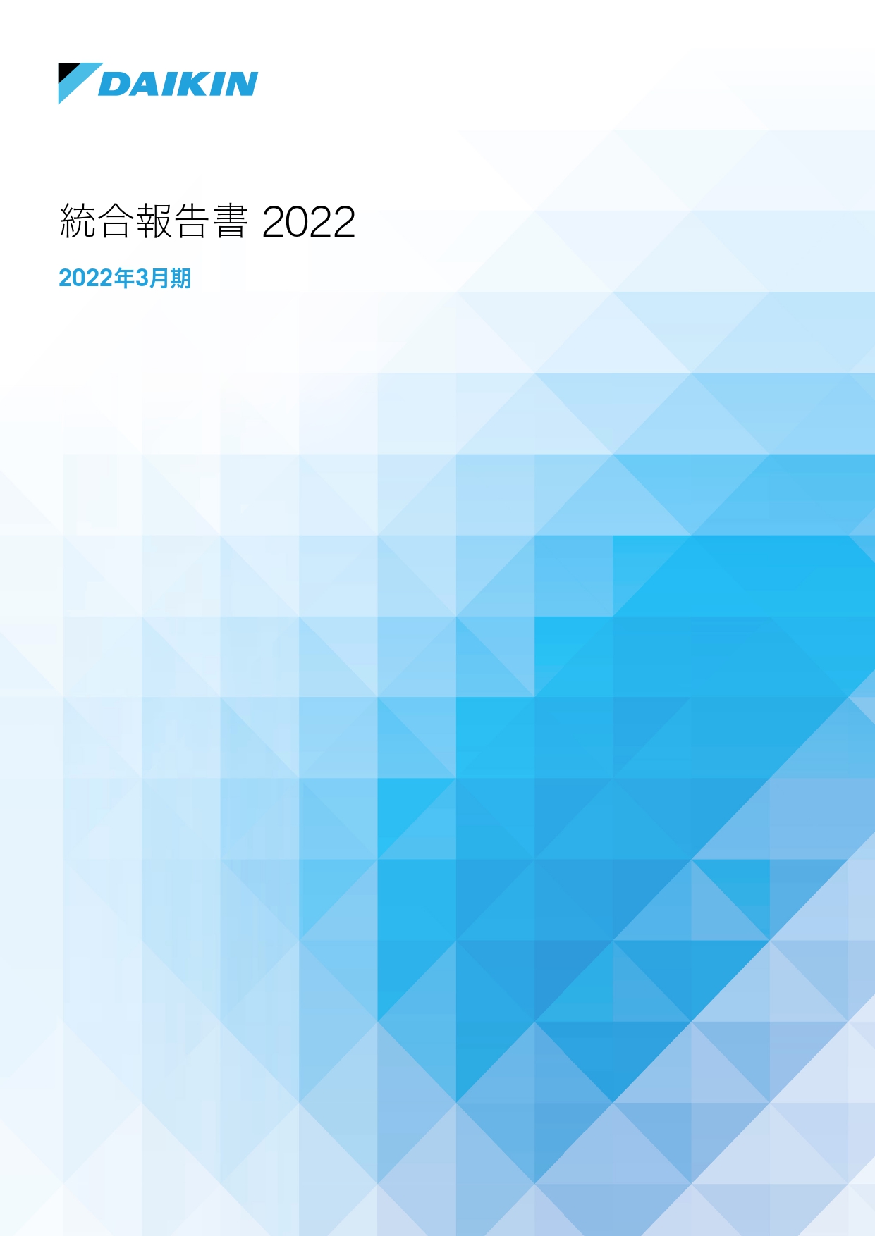 イメージ：統合報告書2022